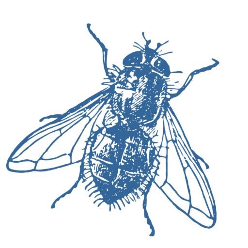 Mattia Mosca favicon