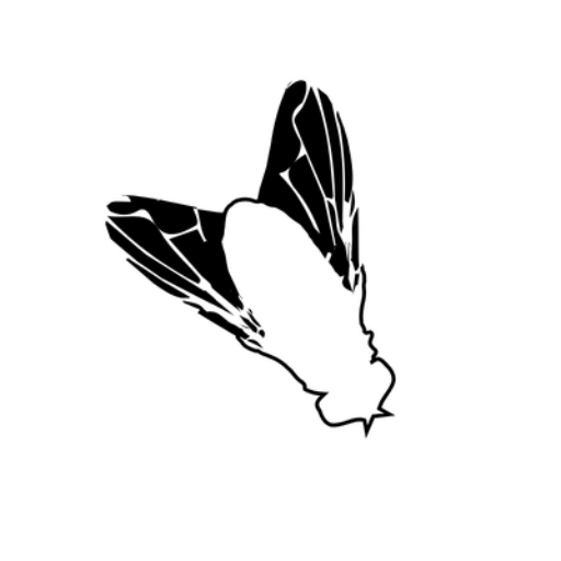 mosca-pittogramma